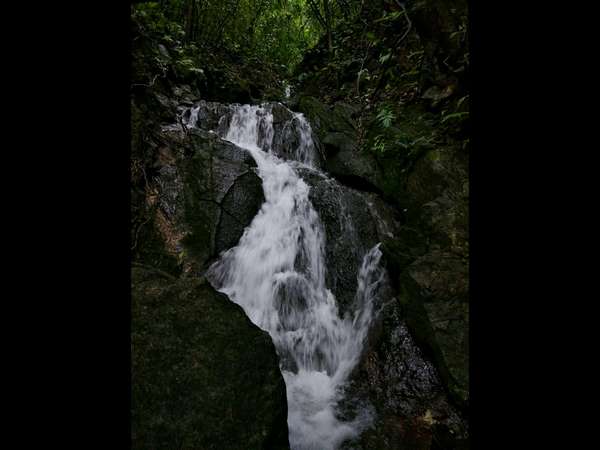 ಅಘನಾಶಿನಿಯ ಉಪನದಿ
