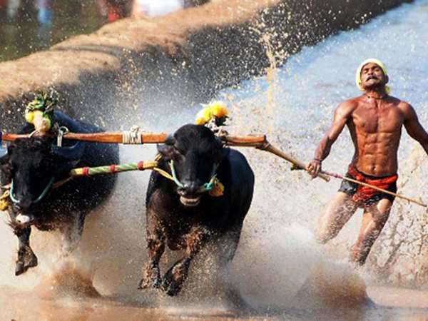 ನವೆಂಬರ್ ತಿಂಗಳಾಂತ್ಯಕ್ಕೆ ಆರಂಭ