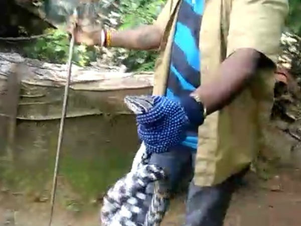 ಕುತೂಹಲ ಮೂಡಿಸಿತ್ತು