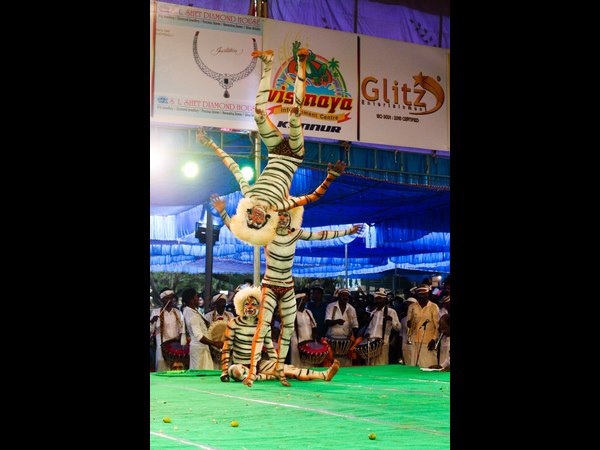 ಜನ ಮನ ಗೆಲ್ಲುವ ಹುಲಿಗಳು
