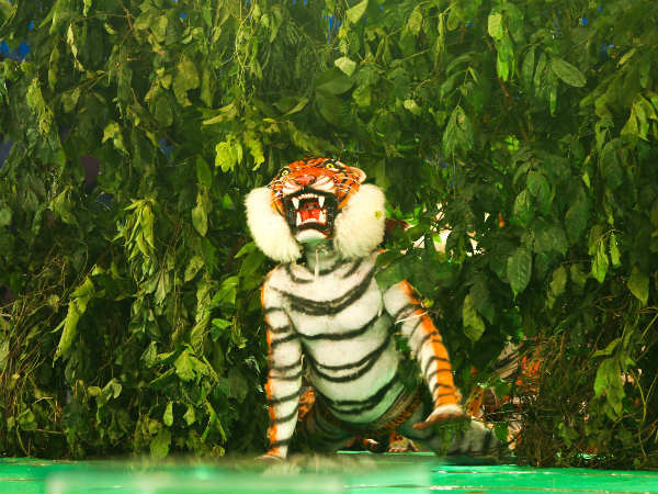 ಅಗಸೆಕಾಯಿ ಬೀಜದ ಬದಲಿಗೆ ಪೈಂಟ್
