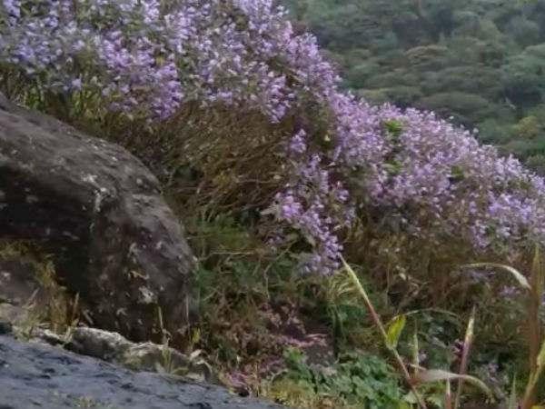 ವಯಸ್ಸನ್ನು ಲೆಕ್ಕ ಹಾಕುತ್ತಿದ್ದರು