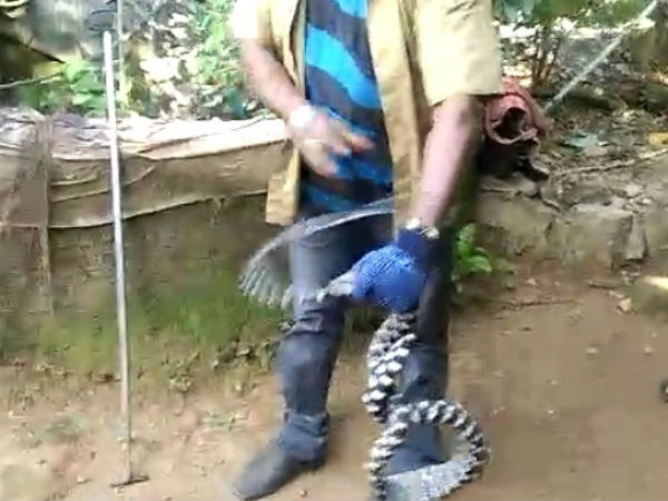 ಹಾವು ಹಿಡಿಯುವಲ್ಲಿ ಸಫಲ