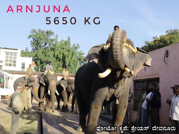 ಅರ್ಜುನ