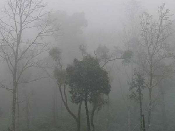 ಈ ಬಾರಿ ದಸರಾ ಕಳೆಯಿಲ್ಲ
