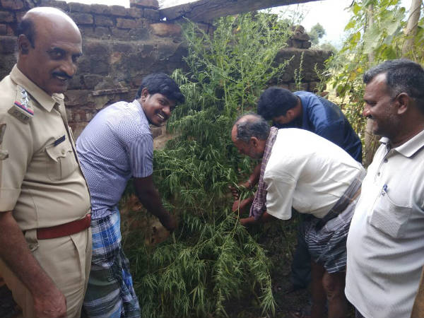 ಕೊಡಗಿನಲ್ಲಿ ಕಡಿಮೆಯಾದ ಪ್ರಕರಣಗಳು