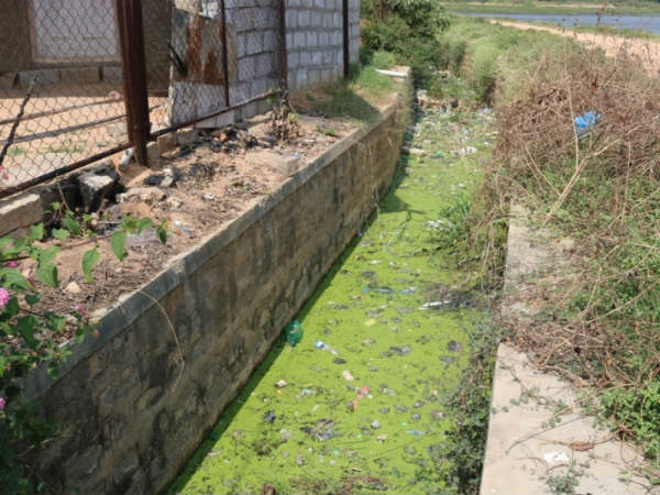 ಪುರಸಭೆ ಅಧಿಕಾರಿಗಳು ಗಮನಹರಿಸುತ್ತಿಲ್ಲ