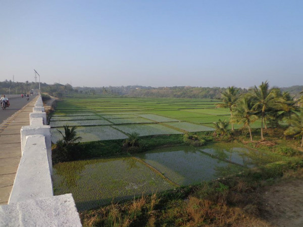 ವಾಯುವಿಹಾರಕ್ಕೆ ಹೋಗುತ್ತಿಲ್ಲ