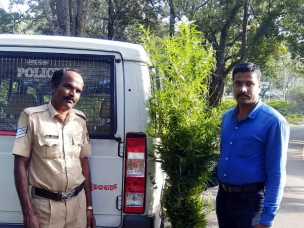 ಬೈಲುಕುಪ್ಪೆಯಲ್ಲಿ ಹೆಚ್ಚಿದ್ದಾರೆ ಗ್ರಾಹಕರು