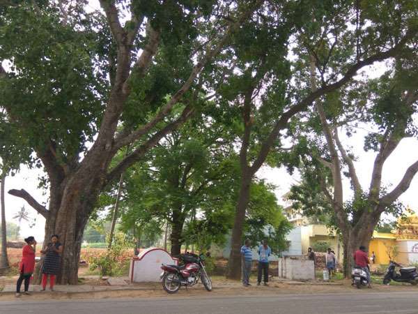 ಆಡಳಿತ ಮಂಡಳಿ ಸಭೆಯಲ್ಲಿ ಈ ಕುರಿತು ಚರ್ಚೆ