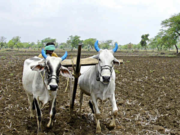 ರೈತರ ಕೃಷಿ ಸಾಲಮನ್ನಾ ಯೋಜನೆ