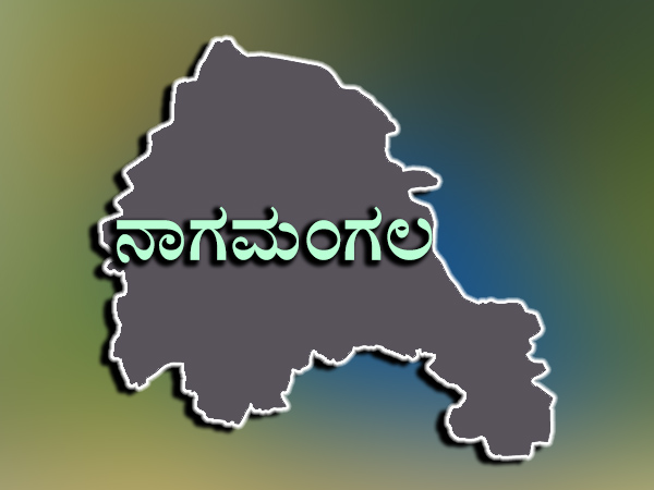 ಅಸೆಂಬ್ಲಿ ಕ್ಷೇತ್ರ : ನಾಗಮಂಗಲ