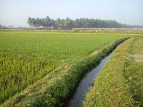ಸ್ಥಿರಾಸ್ತಿ ಋಣಭಾರ ಪ್ರಮಾಣ ಪತ್ರ