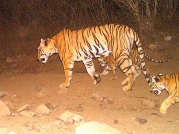 ಹಳ್ಳಿಗರು ಪಟಾಕಿ ಸಿಡಿಸಿ ಸಂಭ್ರಮಿಸಿದ್ದರು