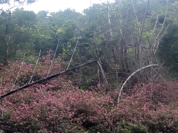 ಪಾರ್ಟಿ ನಡೆಸುವ ಹಾಗಿಲ್ಲ