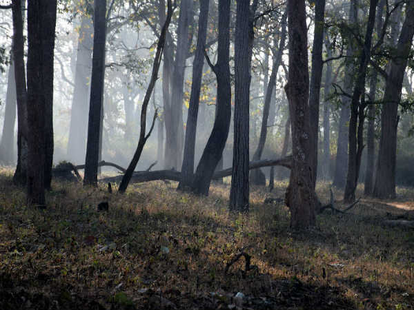 ಸ್ವಚ್ಛಂದವಾಗಿ ವಿಹರಿಸುವಂತಿಲ್ಲ