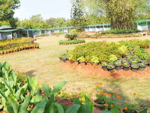 ಛಾಯಾ ಚಿತ್ರಗಳ ಪ್ರದರ್ಶನ