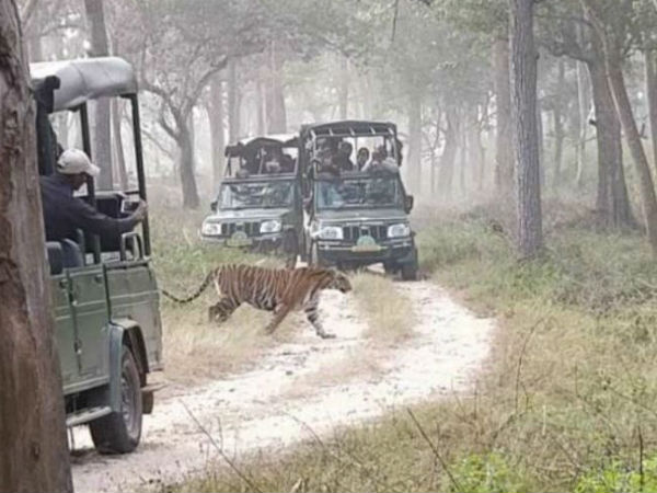 ಈ ಬಾರಿ ಬ್ರೇಕ್