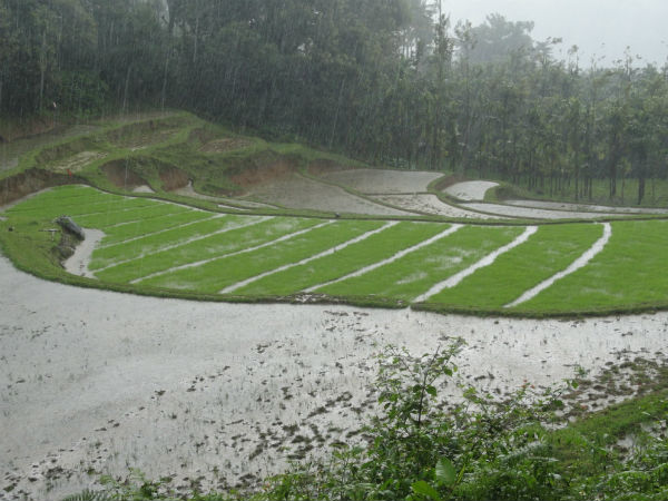 ಸರ್ವ ರೀತಿಯಲ್ಲಿಯೂ ಚಿಂತನೆ