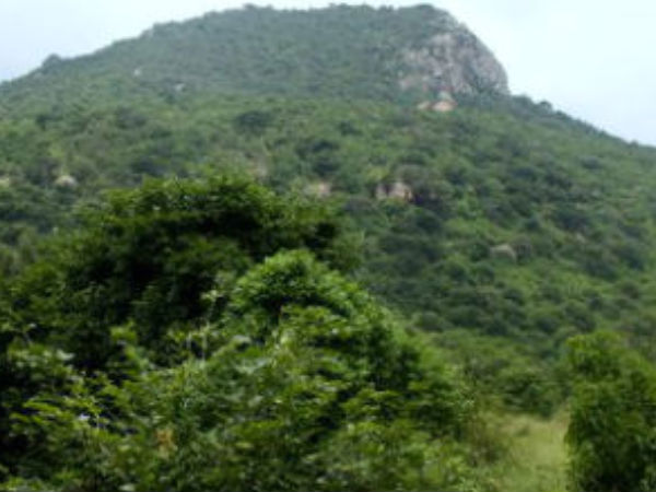 ಸಂಗೀತ ಕಾರ್ಯಕ್ರಮಗಳು ನಿಷೇಧ