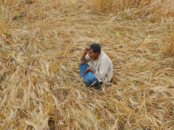 ಭಾರತ ಹಸಿವು ಮುಕ್ತವಾಗಿಲ್ಲ!