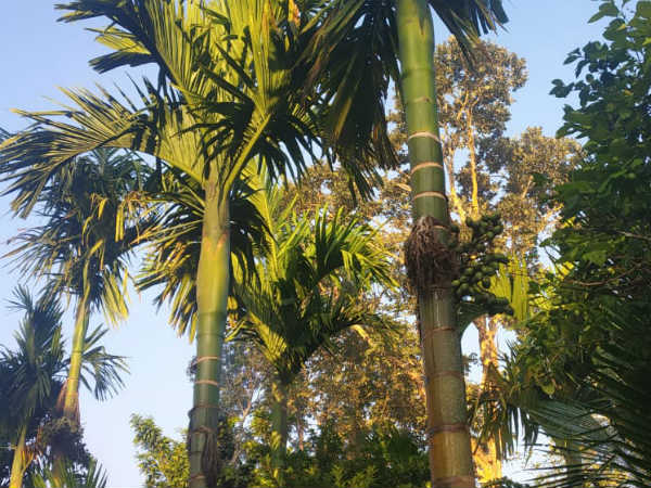 ಕೇಂದ್ರದಿಂದ ಹಣ ಬಿಡುಗಡೆ