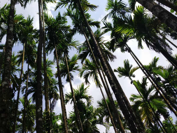 1200 ರೂ. ಸಹಾಯಧನ