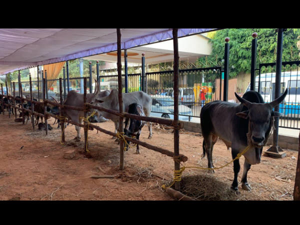 ಏನೇನು ಇರಲಿದೆ