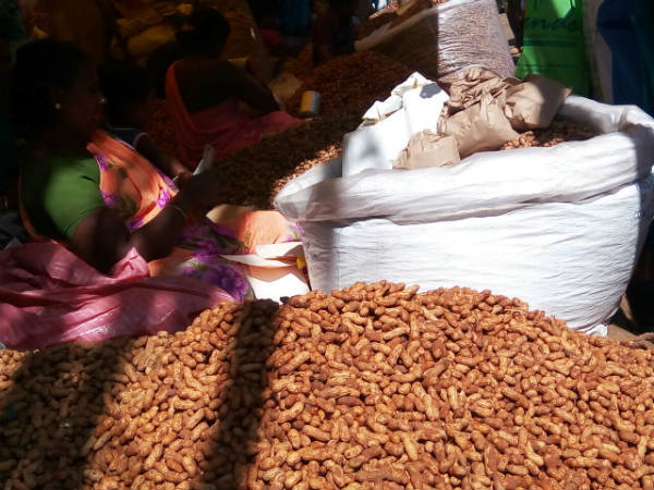 ಎರಡು ದಿನ ನಡೆಯಲಿದೆ ಪರಿಷೆ