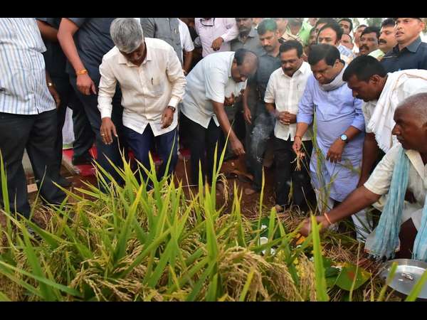 ಮಂಡ್ಯದ 535 ಕೋಟಿ ಸಾಲಮನ್ನಾ