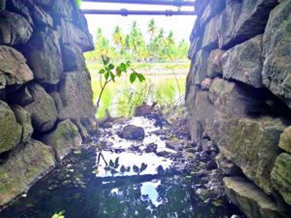 ರೋಗ ರುಜಿನಗಳ ಭಯ