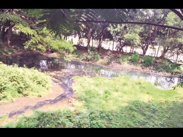 ಪವಿತ್ರ ಕೆರೆ ಎಂಬ ನಂಬಿಕೆ