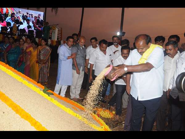 ಅಮಾವಾಸ್ಯೆಯಂದೇ ಭತ್ತ ಕೊಯ್ಲು