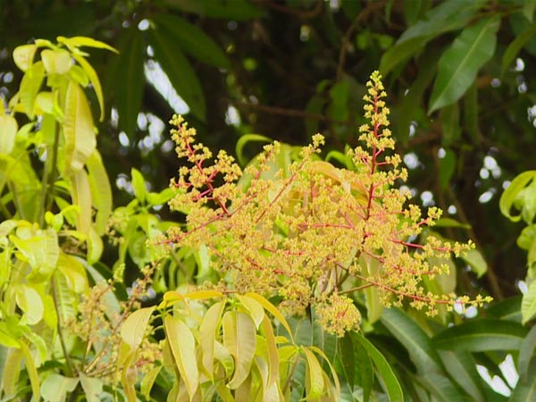 ಬರಗಾಲಕ್ಕೆ ತುತ್ತಾಗುವ ಎಚ್ಚರಿಕೆ