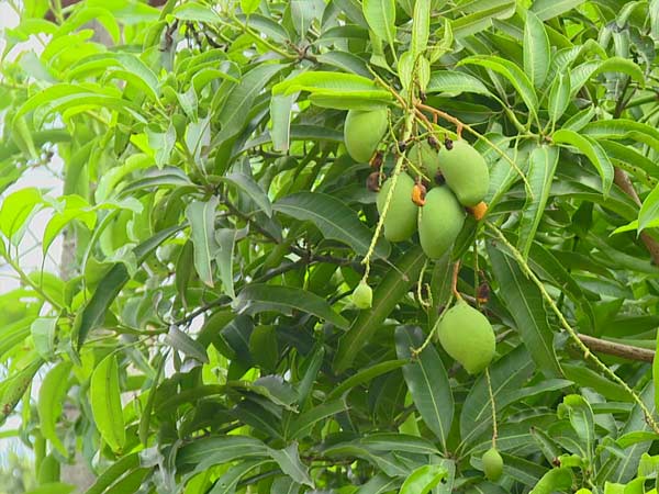 ಜಲ ಮೂಲಗಳು ಬತ್ತಿ ಹೋಗಿವೆ