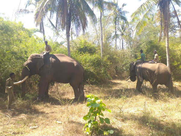 ಕೂಂಬಿಂಗ್ ಕಾರ್ಯಾಚರಣೆ ಆರಂಭ