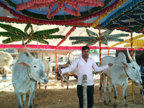 ಅದ್ದೂರಿ ಮೆರವಣಿಗೆ
