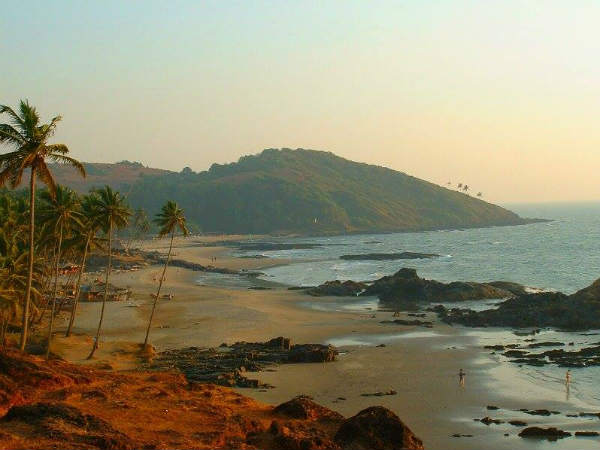 ಅಲ್ಲಿ ಶೋಧ ನಿರತವಾಗಿವೆ