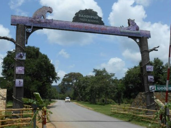 ಎಲಿವೇಟೆಡ್ ರಸ್ತೆ ನಿರ್ಮಾಣ