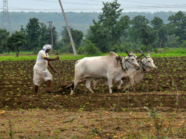 ರಾಜಕೀಯದೆಡೆಗೆ ಗಮನವಿರಲಿ