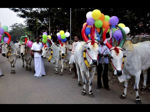 ಆಚರಣೆ ಹೇಗೆ?