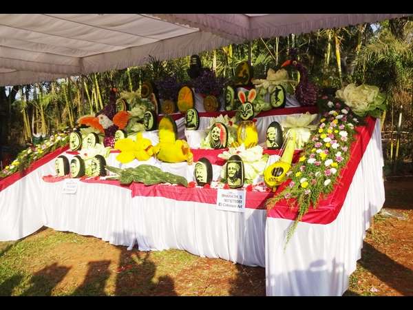 ಸೇವಂತಿಗೆ, ಚಂಡುಹೂ, ಪ್ಲಾಕ್ಸ್, ವಿಂಕಾ