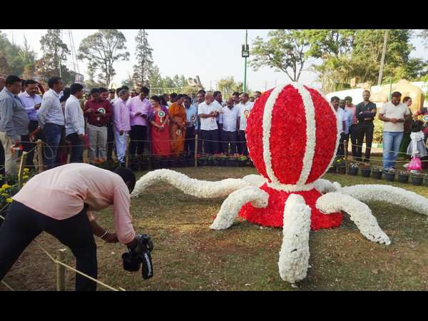ಮಕ್ಕಳನ್ನು ಆಕರ್ಷಿಸುತ್ತಿರುವ ಕಾರ್ಟೂನ್ಸ್