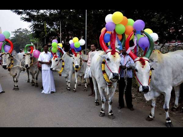 ಸರ್ವೇ ಜನಾಃ ಸುಖಿನೋ ಭವಂತು