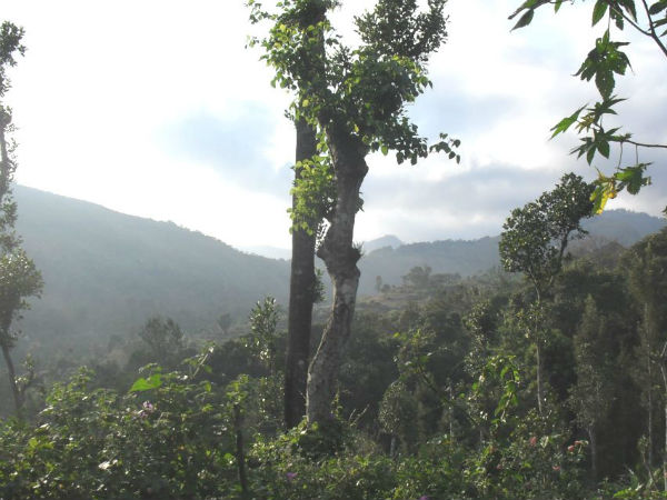 ಬಿಸಿ ನೀರಿನಲ್ಲಿ ತೊಳೆಯಬೇಕು