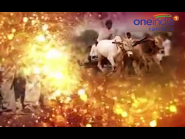ಸಂಕ್ರಾಂತಿ ಸಡಗರದ ಹಬ್ಬ