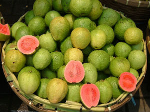 ಪೇರಲಹಣ್ಣಿಗೆ ಭಾರೀ ಬೇಡಿಕೆ