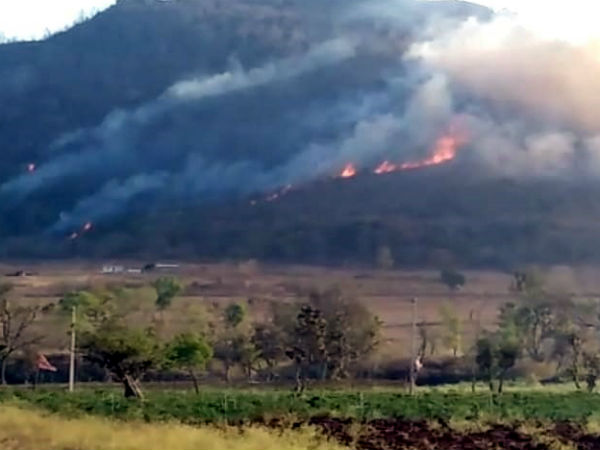 ಉದ್ದೇಶಪೂರ್ವಕವಾಗಿ ಬೆಂಕಿಯಿಡುತ್ತಿದ್ದಾರೆ