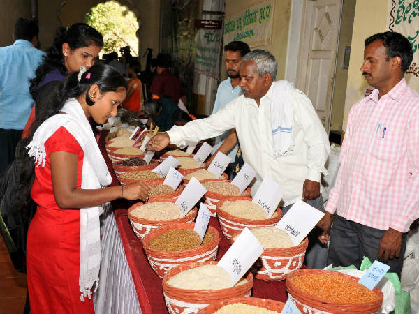 ರೈತ ಶಿವಾನಂದ ಶಂಕರ ಲಂಗಟಿ ಹೇಳುವಂತೆ
