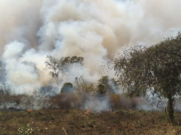 ಅನೇಕ ಕಡೆಗಳಲ್ಲಿ ಕಾಡ್ಗಿಚ್ಚು